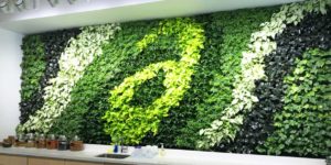 green wall