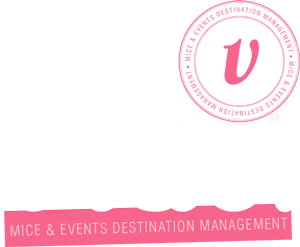 vibe logo