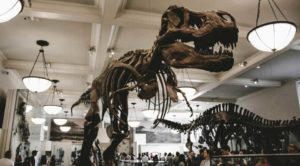 inside museum DC