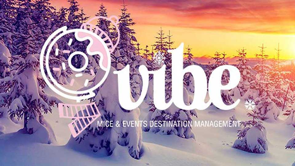 Vibe agency winter logo