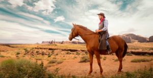 cowboy on a horse in the desert