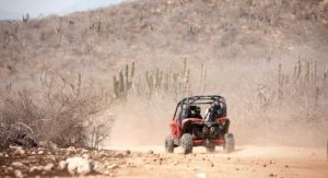 buggy in the desert