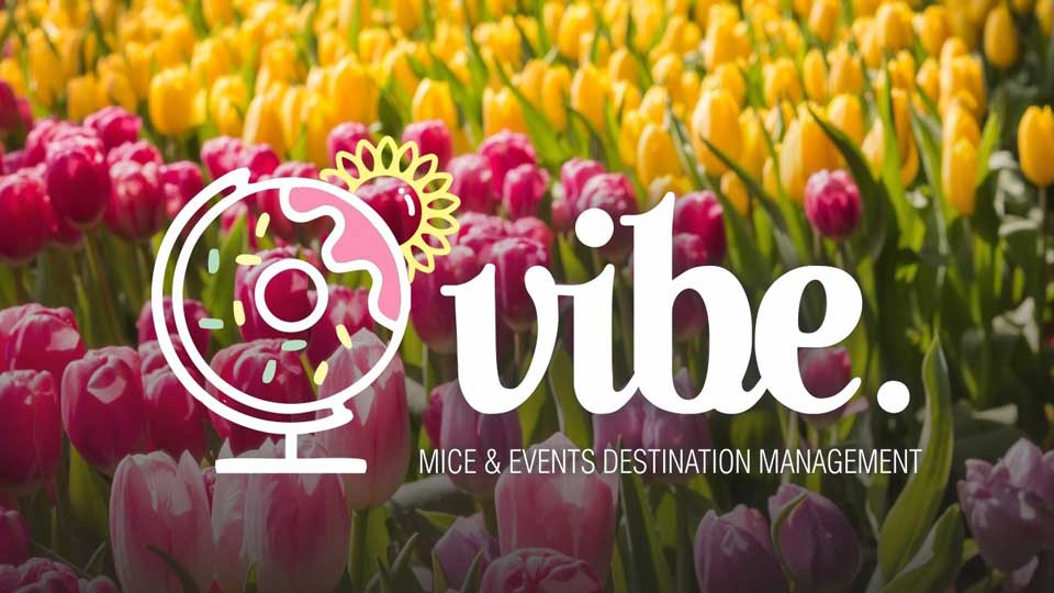 vibe agency sping logo