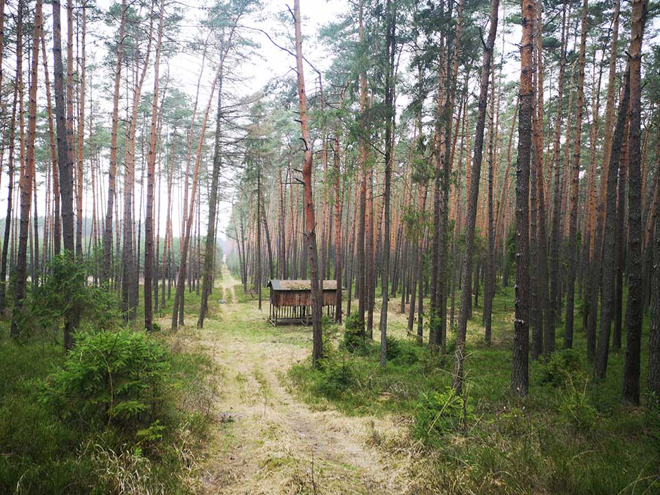 3. wooden cabana in the woods