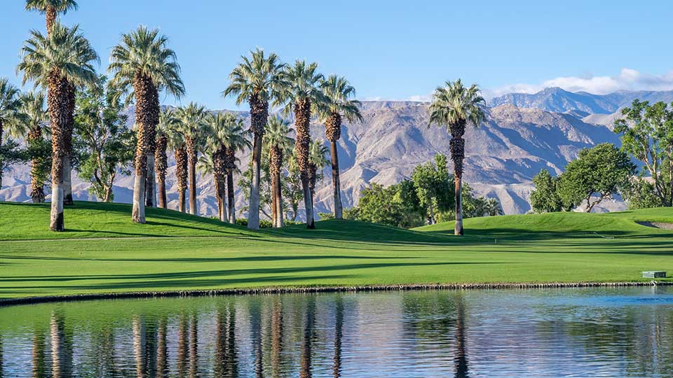 Palm trees next to a body of water in Palm Springs, CA