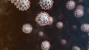 virus