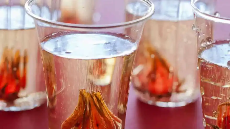 glass with champagne and hibiscus
