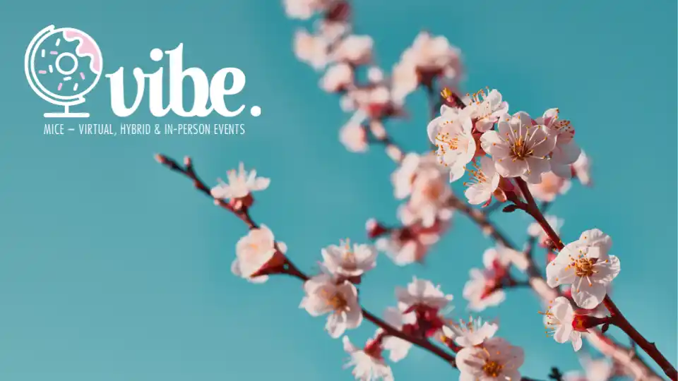 Spring flower on blue background newsletter